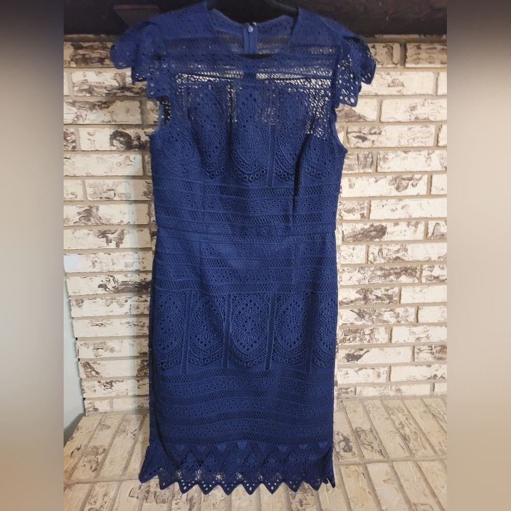 Antonio Melani Blue Lace Dress 12